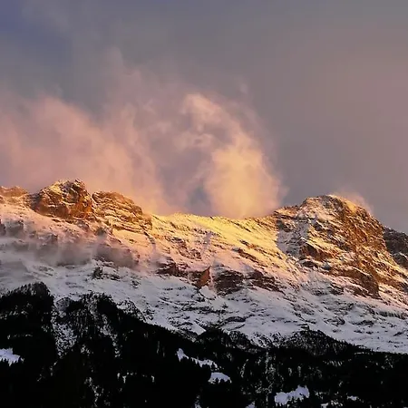 Eiger Nest Apartment Grindelwald